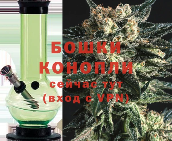 дмт Верея